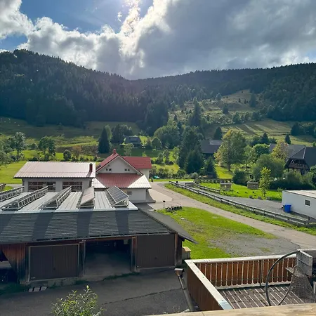 Tasa Menzenschwand-Hinterdorf