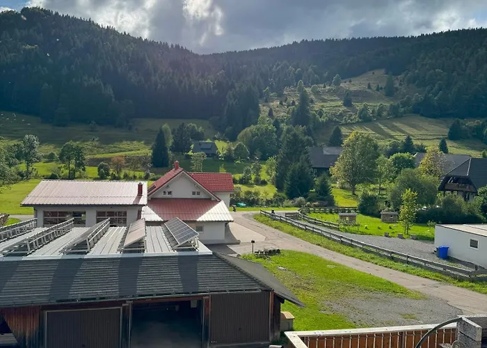 Tasa Menzenschwand-Hinterdorf