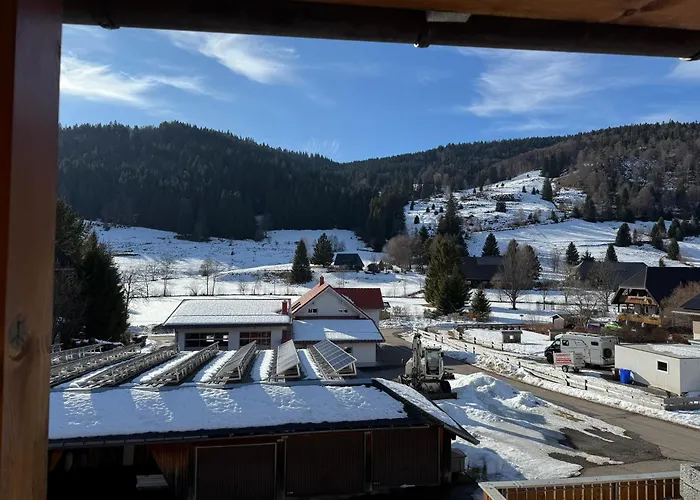 Διαμέρισμα Tasa Menzenschwand-Hinterdorf